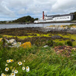 New Scotch Whisky And Irish Whiskey Releases From April 2026 - Forbes sfeerbeeld