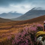 Aberfeldy whisky review: Highland gold in een fles sfeerbeeld